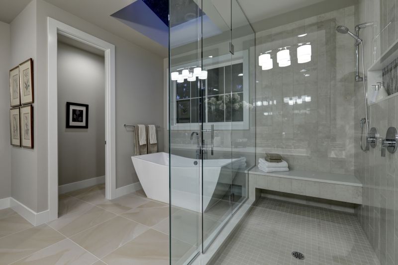 Glass Enclosed Shower Bathtub